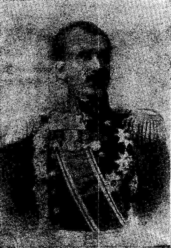 MAJOR-GENERAL, COUNT CHEREP-SPIRIDOVICH