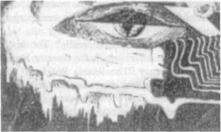 The eye of the all engulfing snake